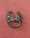 Horse In Horseshoe Silver Charm
