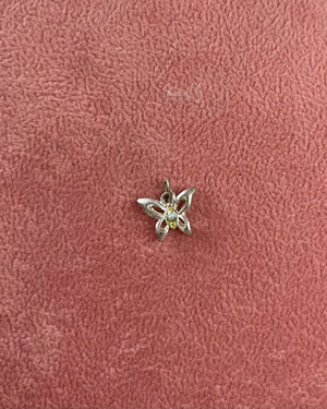 Small Butterfly Silver Charm Small Butterfly Silver Charm