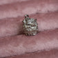 House Charm