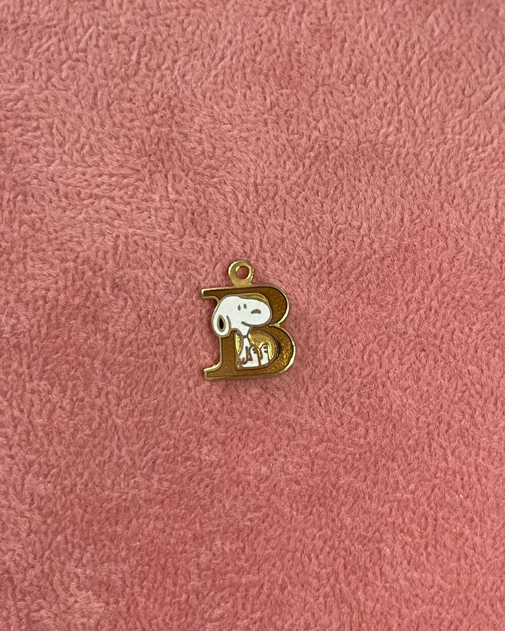 B Initial Snoopy Charm