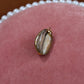 Large Brown Seashell Charm