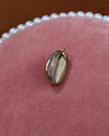 Large Brown Seashell Charm